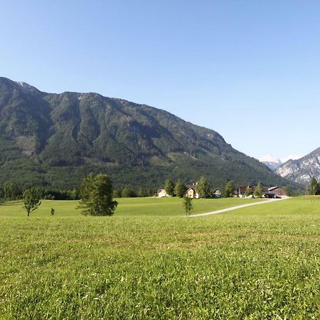 Apartamento Haus Stangl Bad Aussee Exterior foto